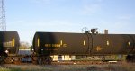 NATX 302886